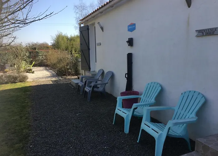 Casa de hóspedes Charleston